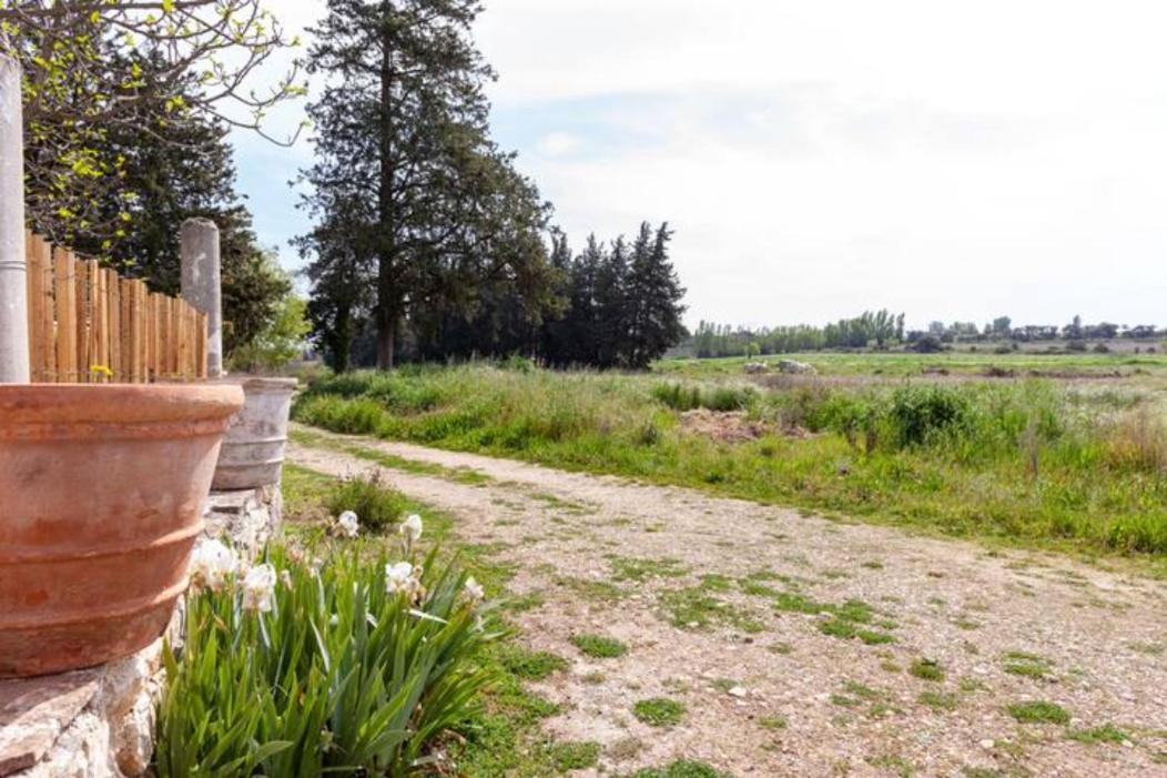 ニーム Casa Cote Sud - Mas Bois Fontaineヴィラ エクステリア 写真