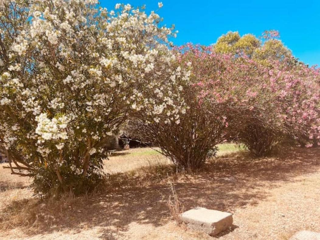 ニーム Casa Cote Sud - Mas Bois Fontaineヴィラ エクステリア 写真